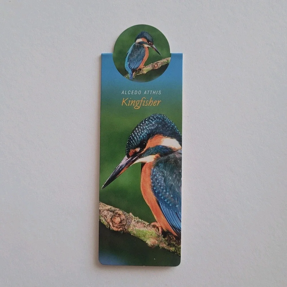 Cardmarks Kingfisher Bird Wild Nature Magnetic Magnet UK Company If 2402 Y2k 00s
